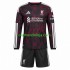 Camisola Liverpool Criança Equipamento Terceiro 2026-2027 Manga Comprida